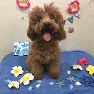 After trimming! 12/11