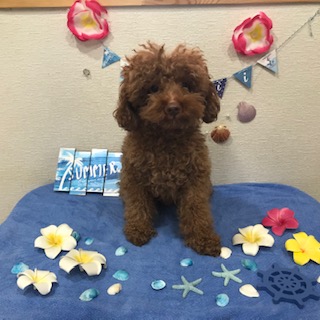 After trimming! 12/11