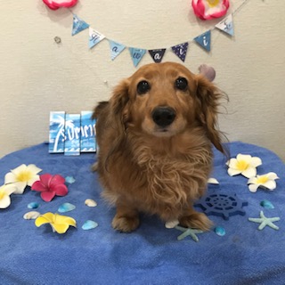 After trimming! 12/10