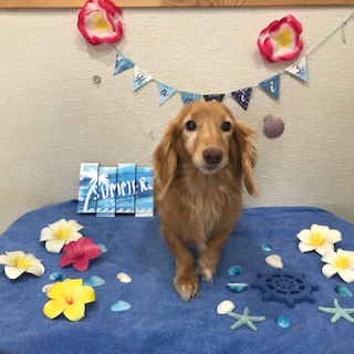 After trimming! 12/10