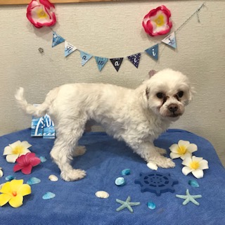 After trimming! 12/10