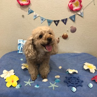 After trimming! 12/10