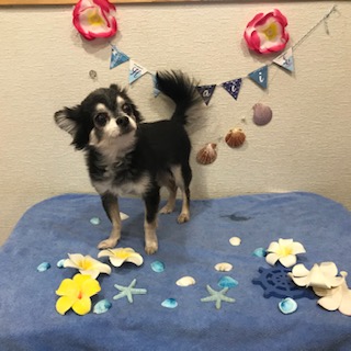 After trimming! 12/9