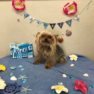 After trimming! 12/9