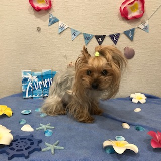 After trimming! 12/8