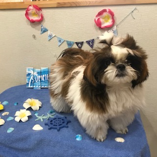 After trimming! 12/8