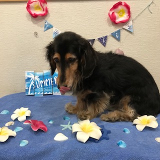 After trimming! 12/8