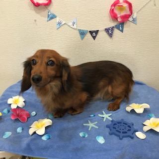 After trimming! 12/7