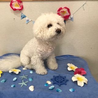 After trimming! 12/6