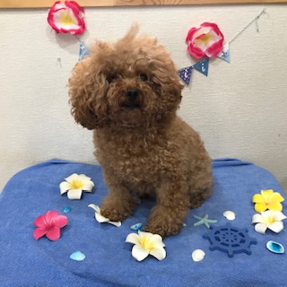 After trimming! 12/3