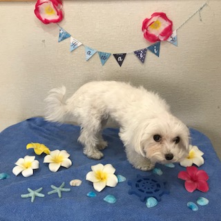 After trimming! 12/3