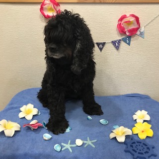 After trimming! 12/2