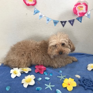 After trimming! 12/2