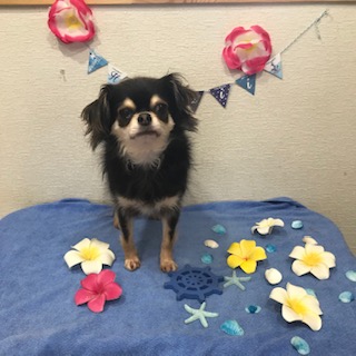 After trimming! 12/2