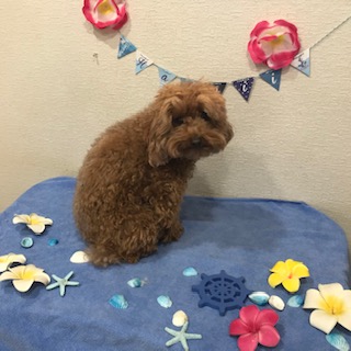 After trimming! 12/1