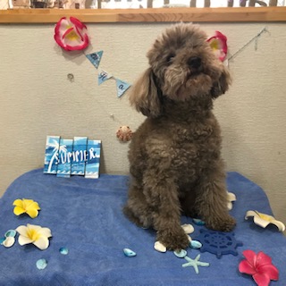 After trimming! 12/1