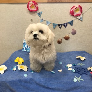 After trimming! 12/1