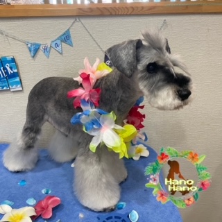 After trimming! 4/16